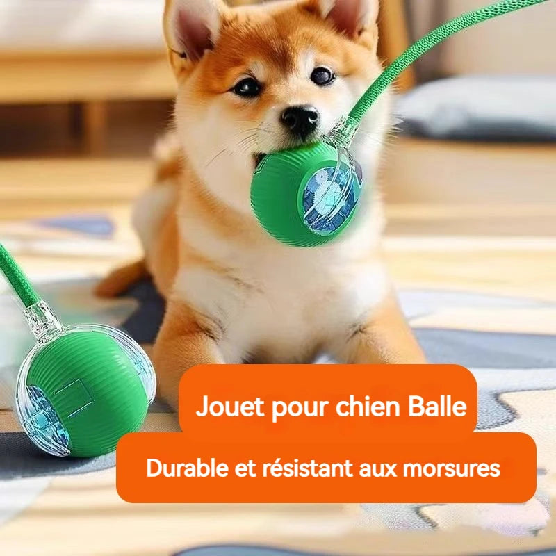 Balle Interactive Intelligente pour Chien